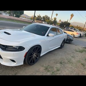 Meet your Posher, James